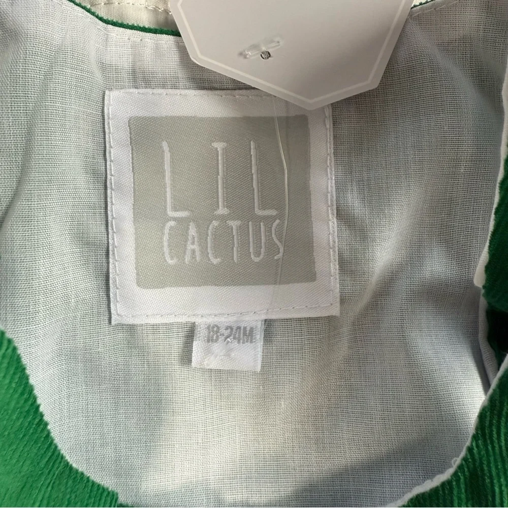 Lil Cactus lil cactus